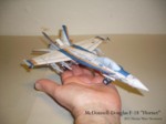 F-18 Hornet (12).JPG

69,10 KB 
1024 x 768 
15.03.2011
